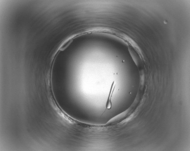 X0000070410860200606121328