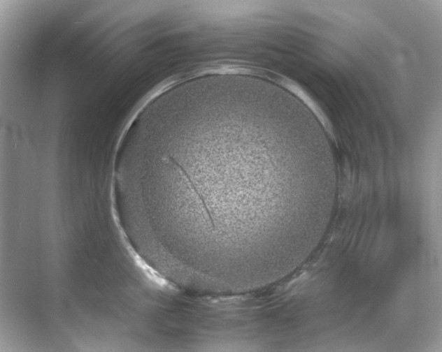 X0000070410861200606121328