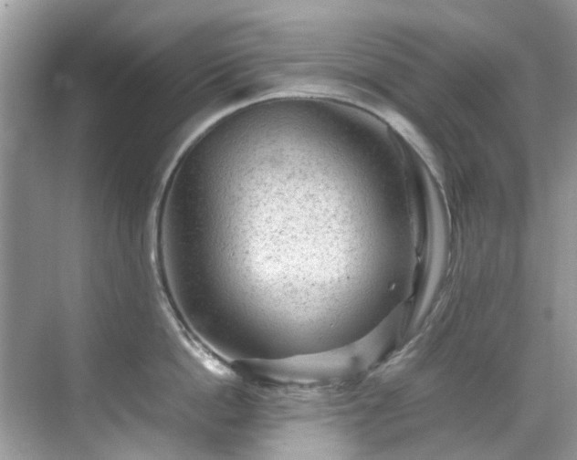 X0000070410862200606121328