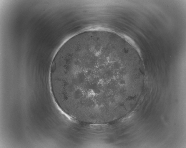 X0000070410863200606121328