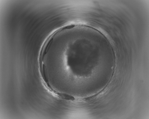 X0000070410864200606121328