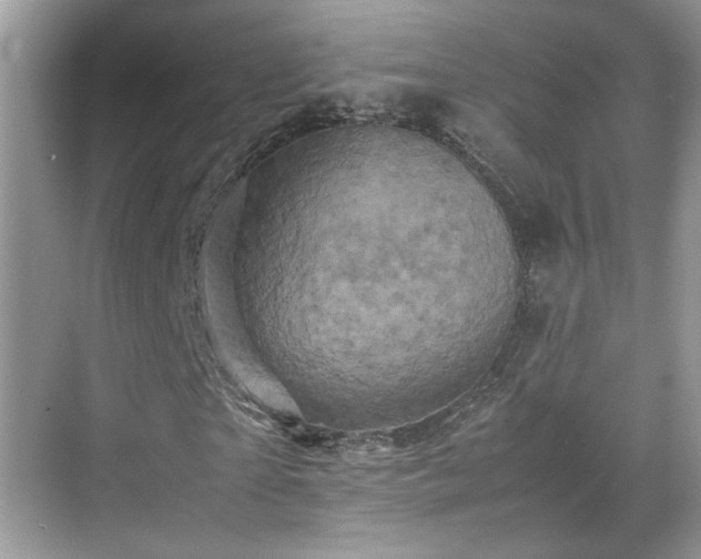 X0000070410865200606121327