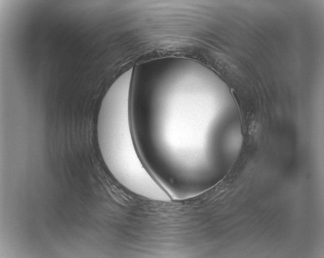 X0000070410868200606121327