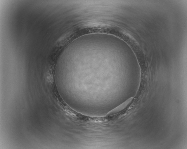 X0000070410869200606121327