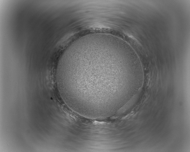 X0000070410870200606121327