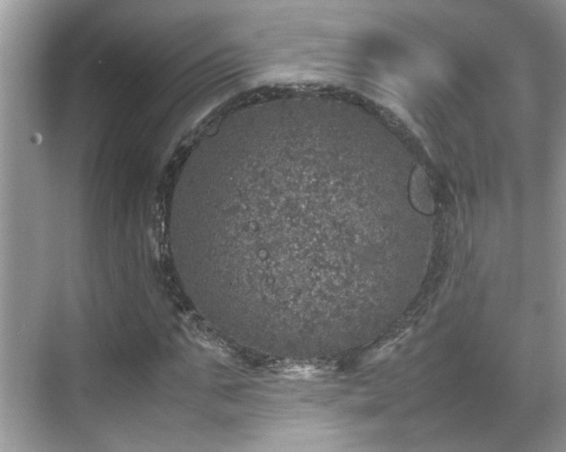 X0000070410871200606121327