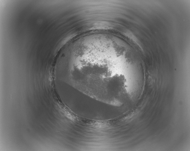 X0000070410874200606121327