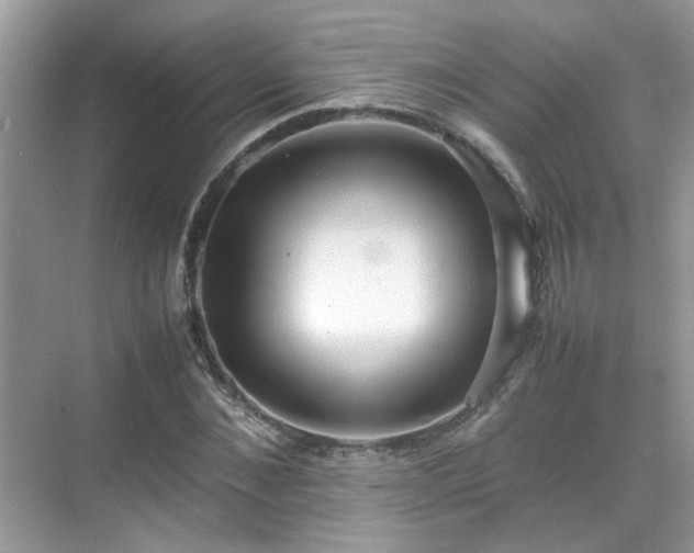 X0000070410876200606121327