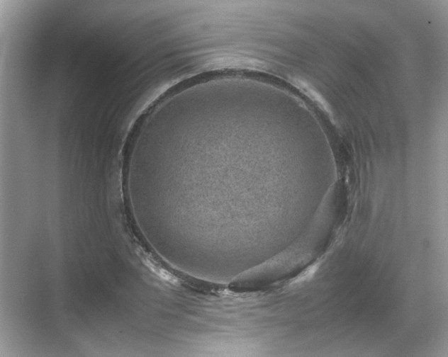 X0000070410877200606121327