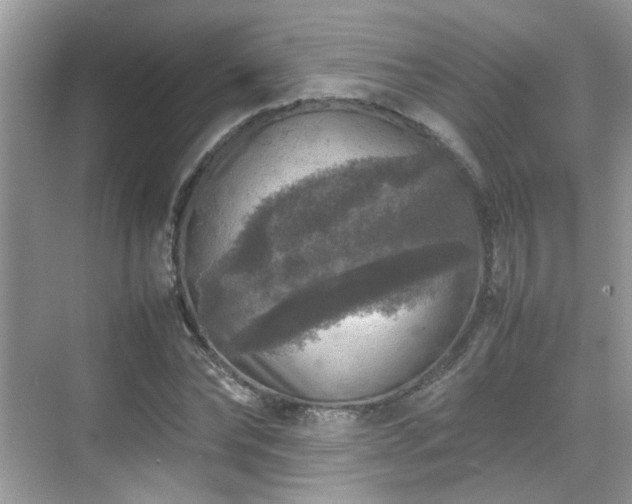 X0000070410878200606121327