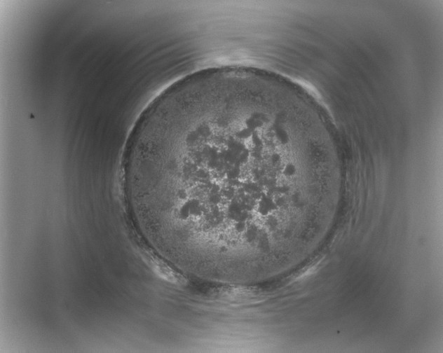 X0000070410879200606121327