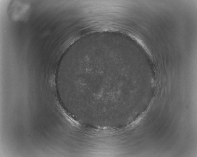 X0000070410881200606121327