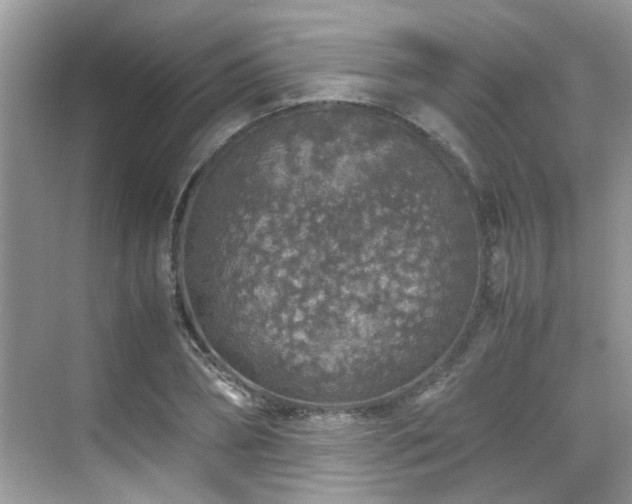 X0000070410882200606121327