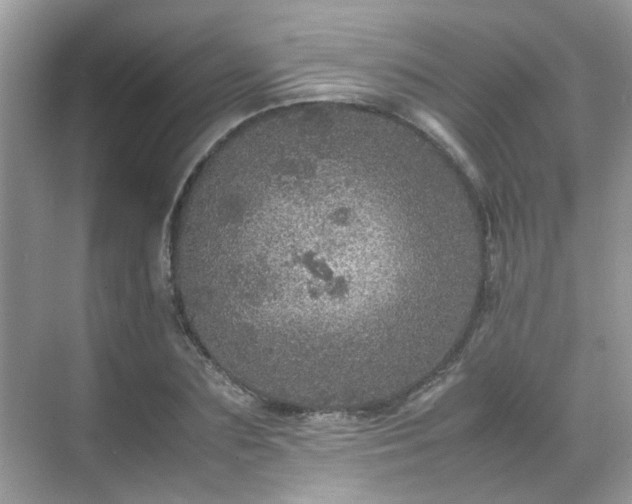 X0000070410883200606121327