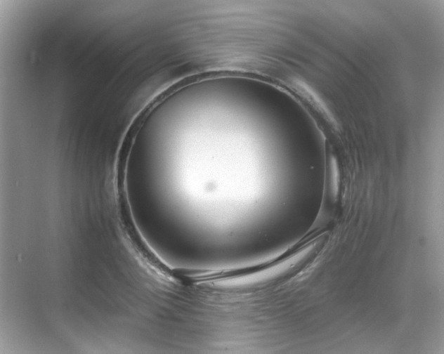 X0000070410884200606121327