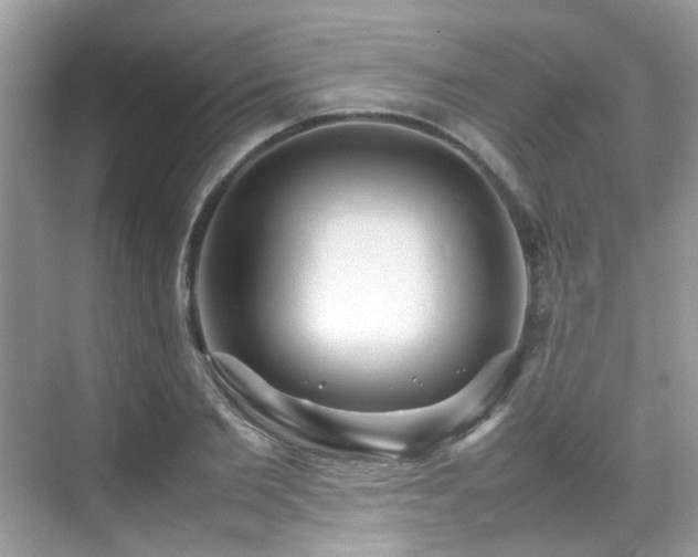 X0000070410885200606121327