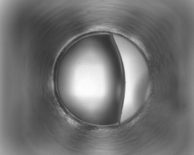 X0000070410888200606121327