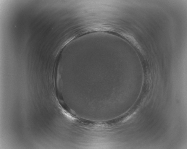 X0000070410889200606121327