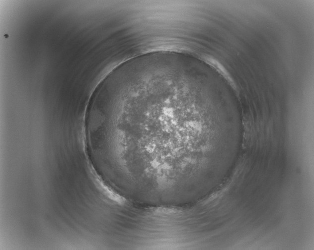 X0000070410890200606121327