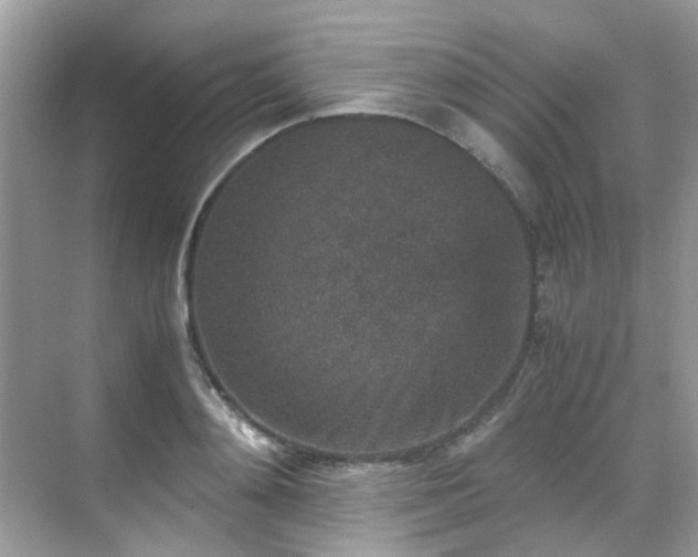 X0000070410892200606121327