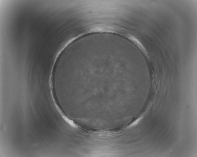 X0000070410893200606121327