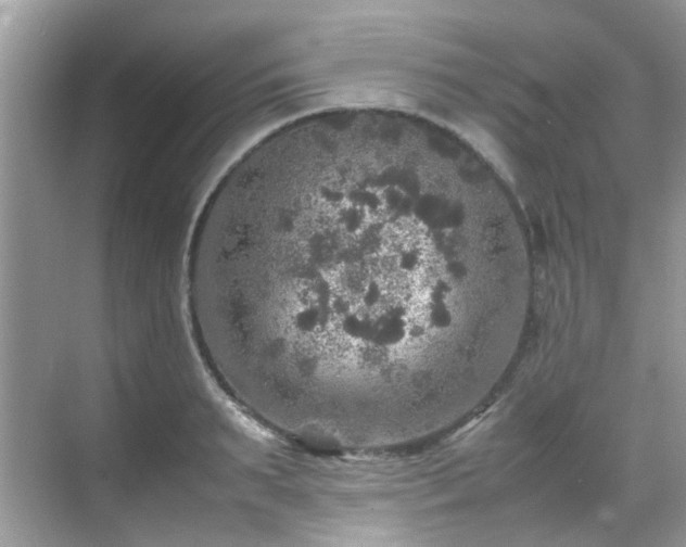 X0000070410895200606121327