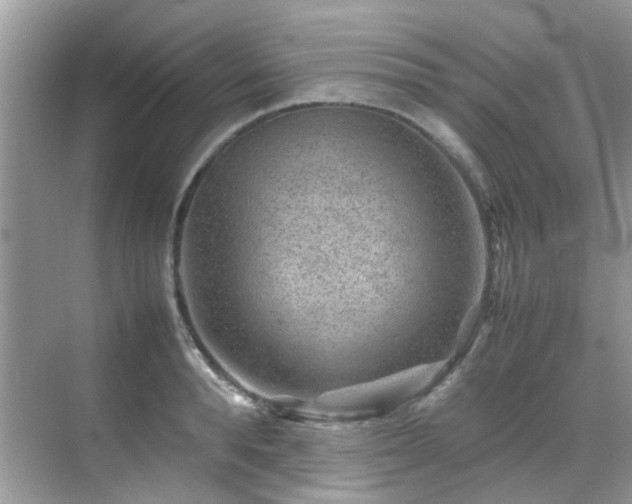 X0000070410896200606121327