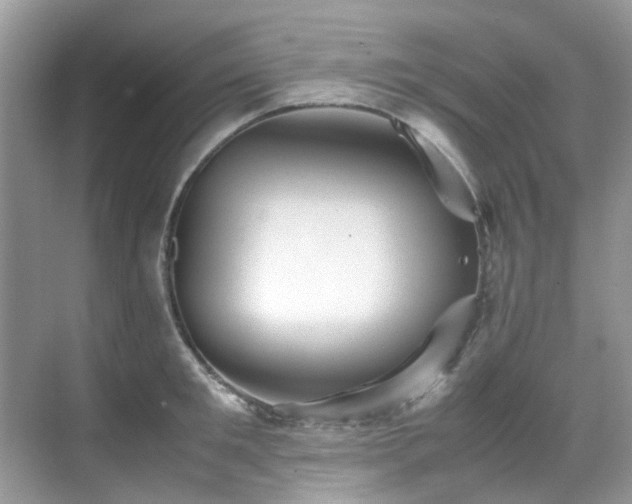 X0000070410901200606121327