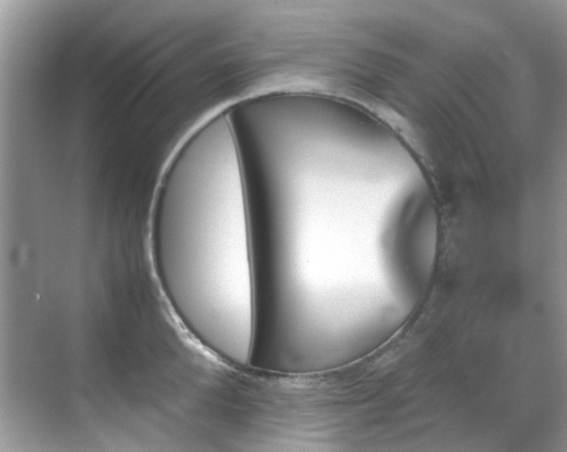 X0000070410904200606121327