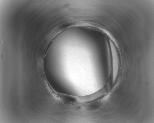 X0000070410905200606121327