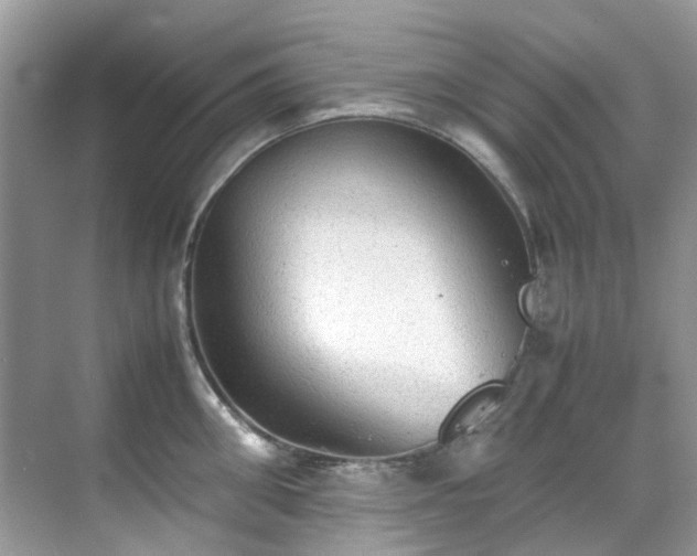 X0000070410906200606121327