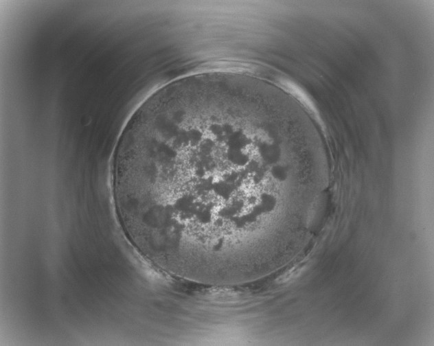 X0000070410907200606121327