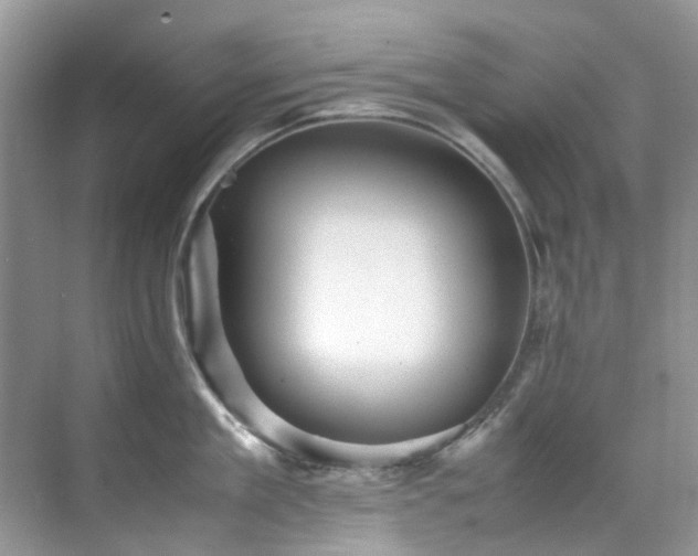 X0000070410909200606121326