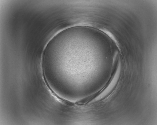 X0000070410910200606121326