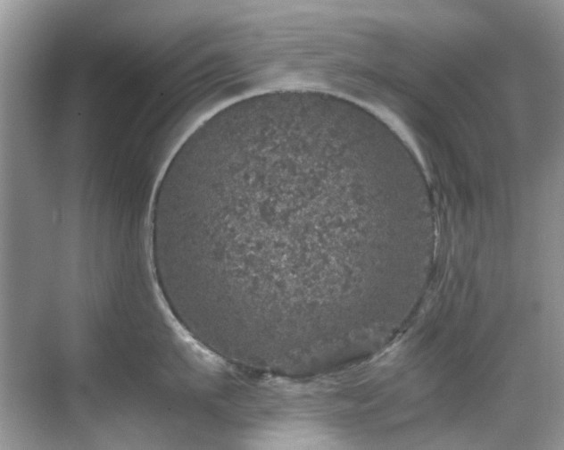 X0000070410911200606121326