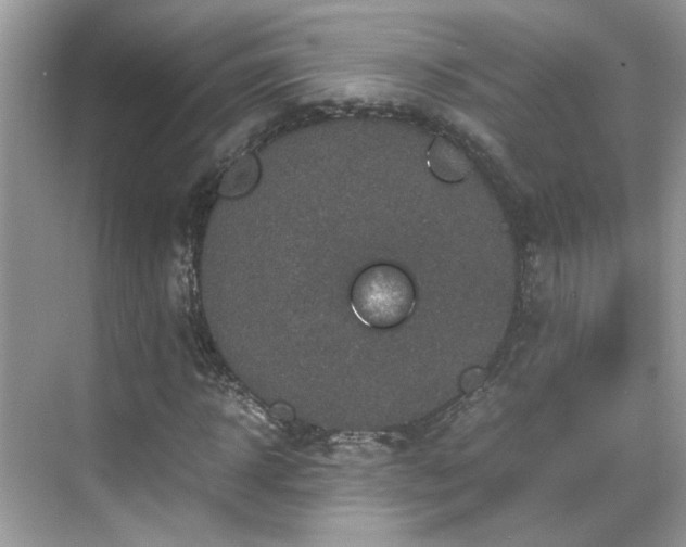 X0000070410918200606121326