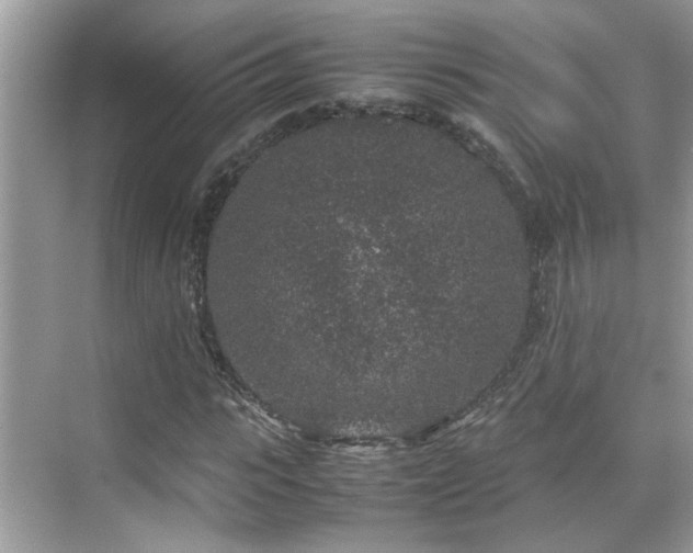 X0000070410919200606121326