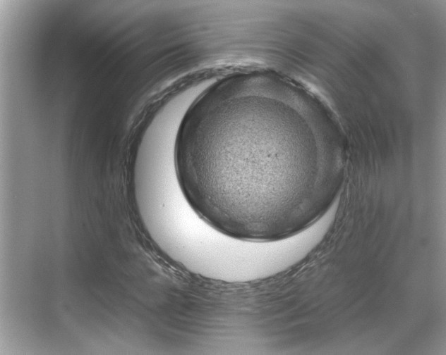 X0000070410920200606121326