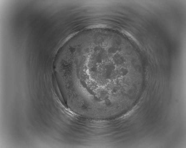 X0000070410921200606121326