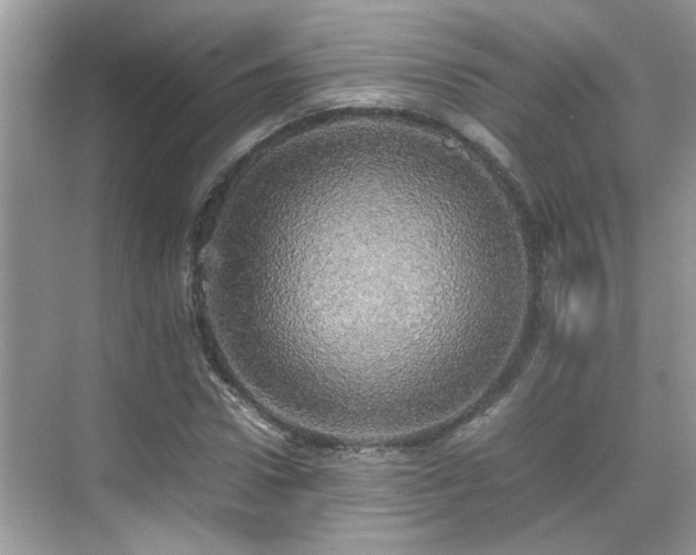 X0000070410922200606121326