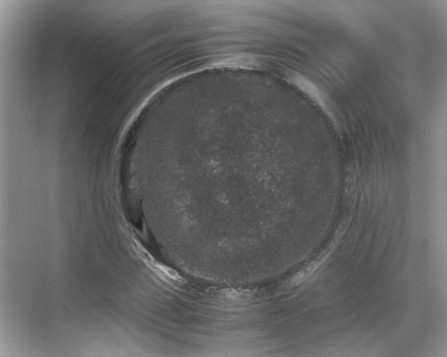 X0000070410923200606121326