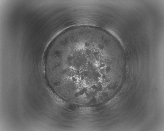 X0000070410925200606121326