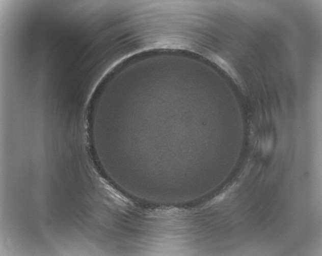 X0000070410926200606121326