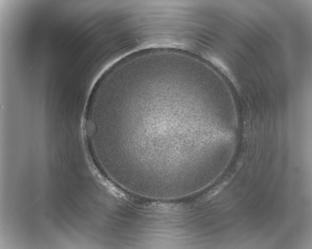 X0000070410928200606121326