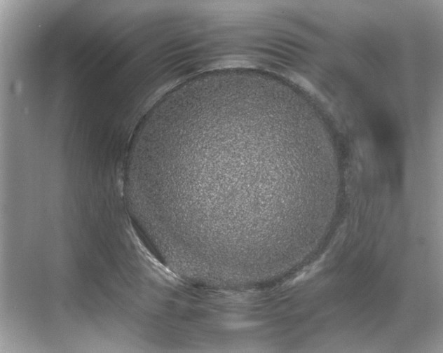 X0000070410929200606121326