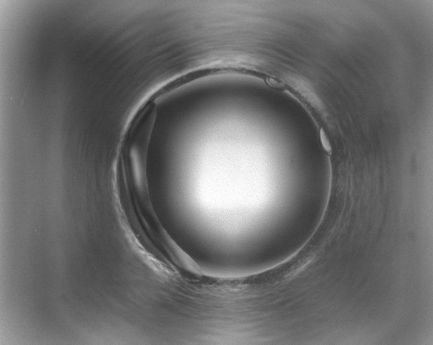 X0000070410936200606121326