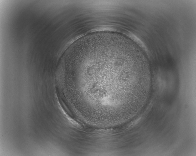 X0000070410937200606121326