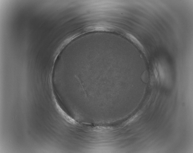 X0000070410938200606121326