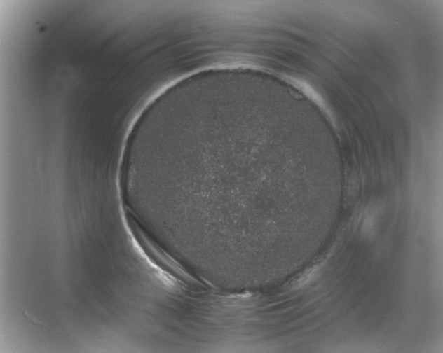 X0000070410943200606121326