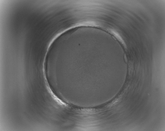 X0000070410944200606121326